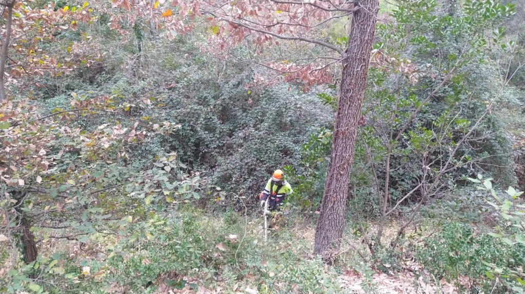 Foto: Consell Comarcal de la Selva. Parc ornitològic Riells