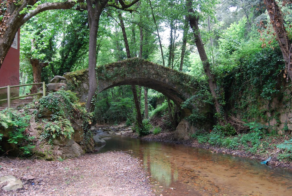 Riera d'Arbúcies molí de les pipes