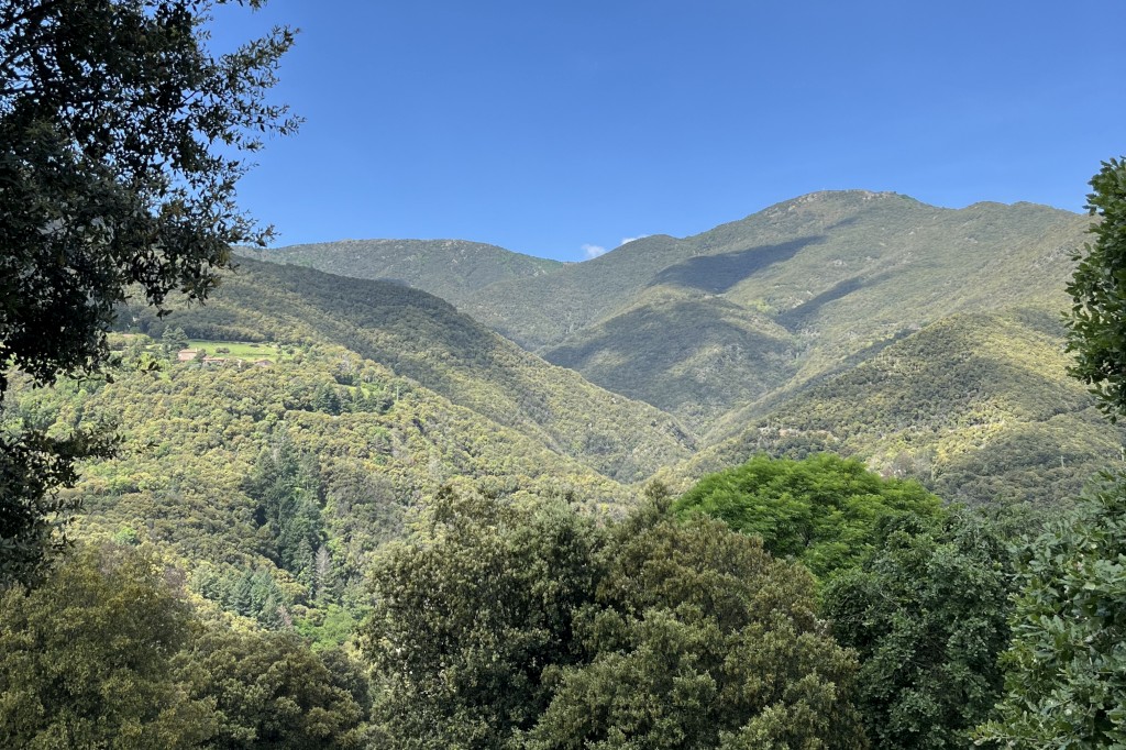 Foto: Tourdera, poble del Montseny