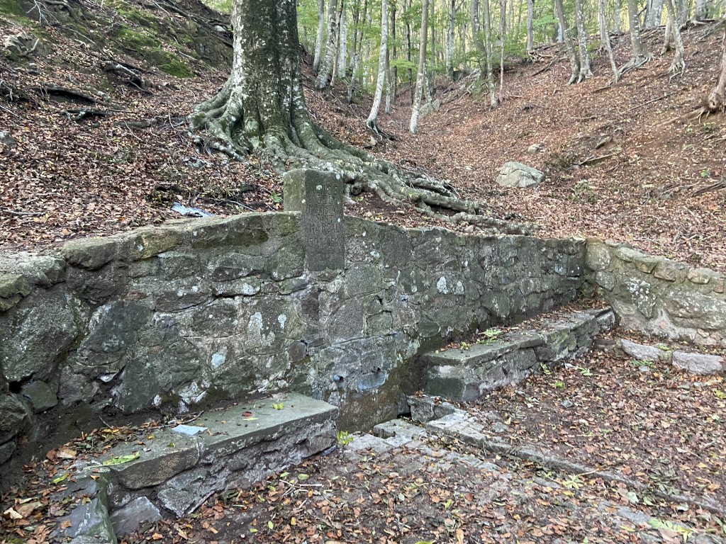 Font Bona sense aigua