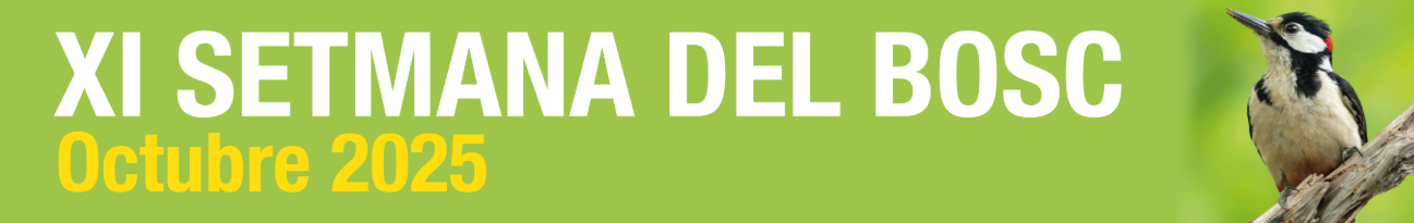 XI Setmana del Bosc (Sant Celoni)