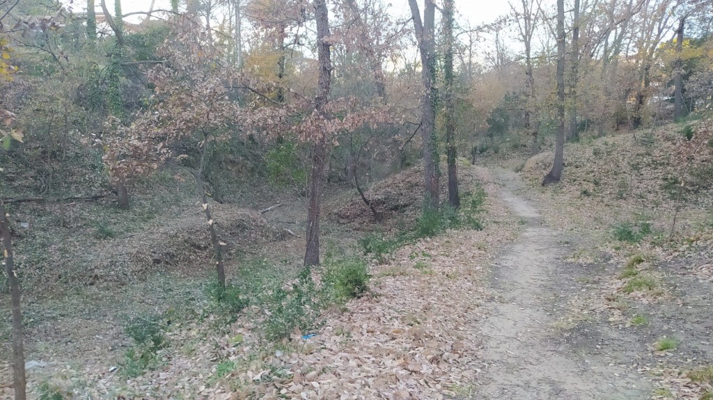 Foto: Consell Comarcal de la Selva. Parc ornitològic Riells
