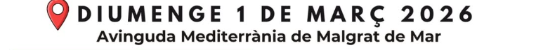 16a Trobada de cotxes clàssics (Malgrat de Mar)