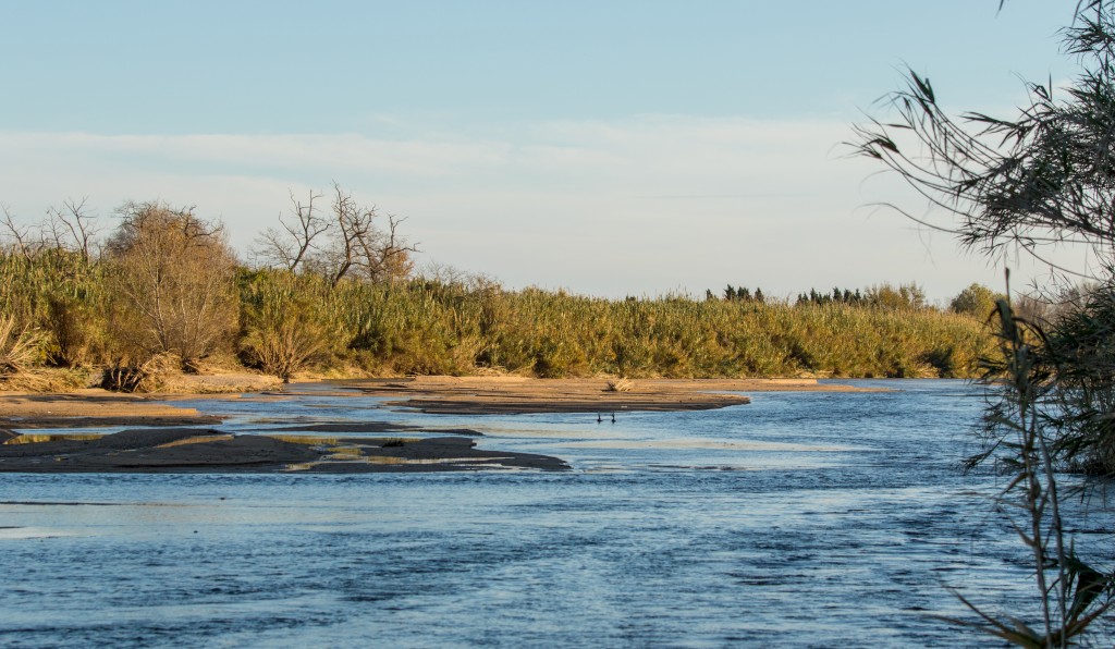 Foto: Tourdera, Delta de la Tordera