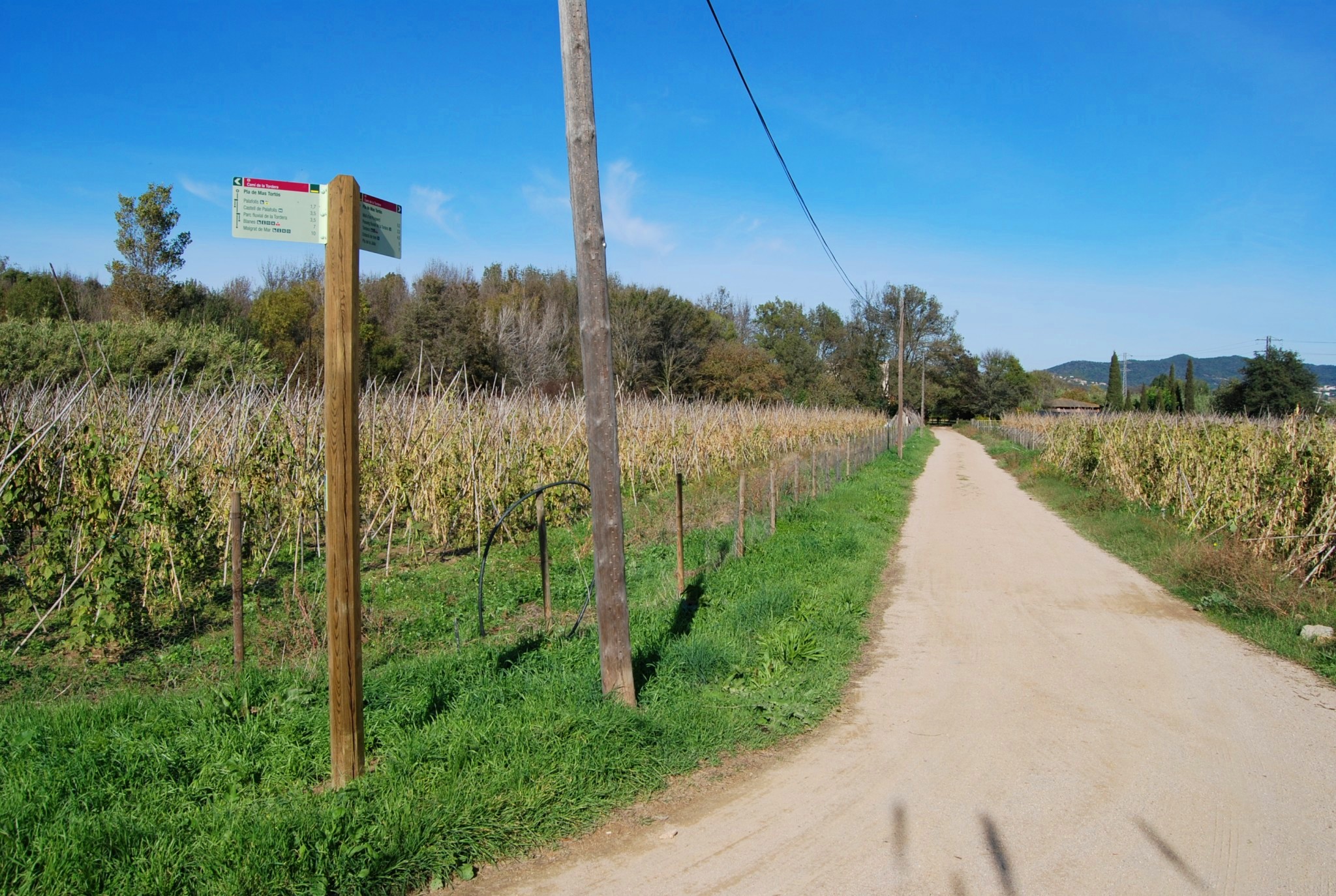 Tram Palafolls - Tordera