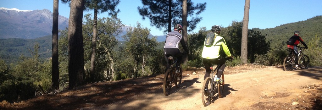foto btt