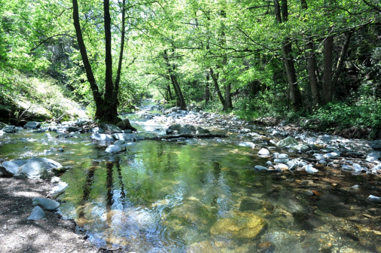 Gorg del riu Tordera al Pont de la Llavina (Montseny). DIBA